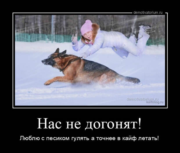 Прикольных демотиваторов порция (18 шт)