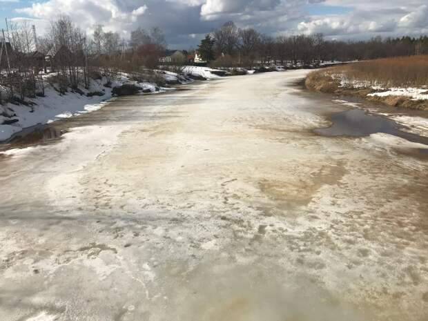 В реке Пра в марте зафиксировано высокое загрязнение воды