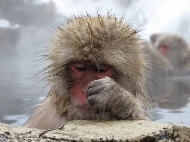 Қызыл шашты аңмен әдемі секс