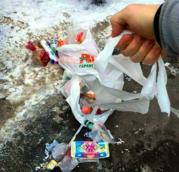 «Похоже, в магазине мне вместо пакета подсунули свинью!»