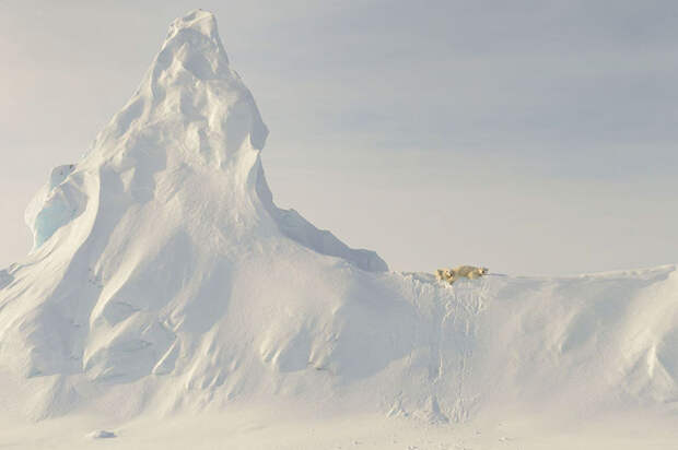 победители National Geographic Traveler 2016