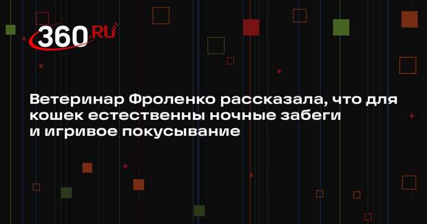 Ветеринар Фроленко рассказала, что для кошек естественны ночные забеги и игривое покусывание