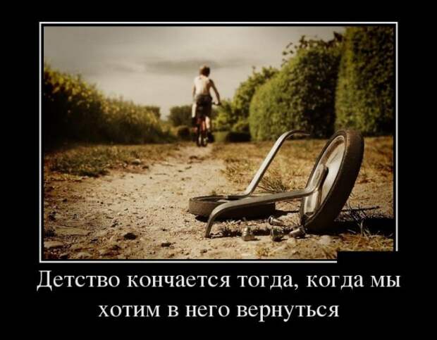 Веселые и забавные демотиваторы для хорошего настроения (11 фото)