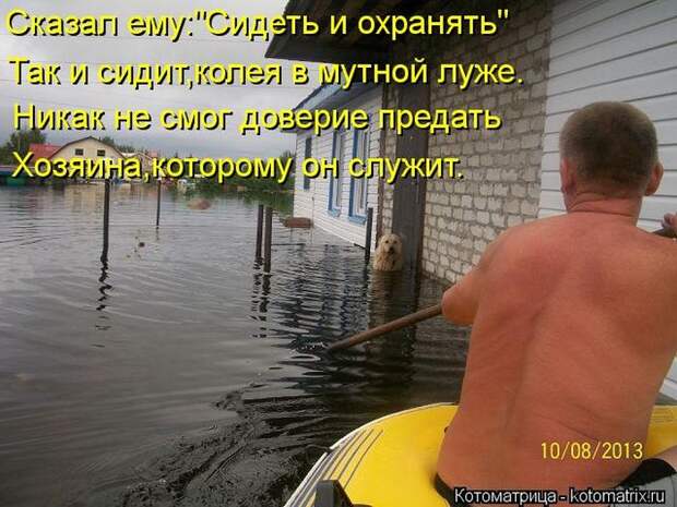 Лучшие котоматрицы недели Лучшие котоматрицы недели