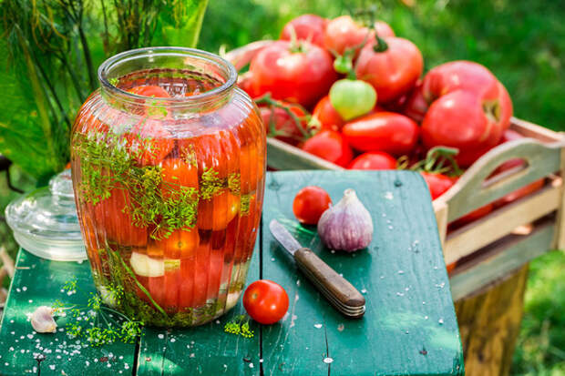 Солнце в банке: 10 рецептов засолки помидоров на любой вкус