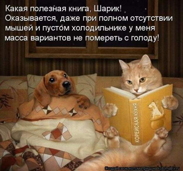 1451492479_kotomatritsa_l