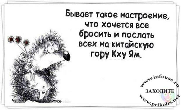 Прикольные цитаты и высказывания от Михалыча