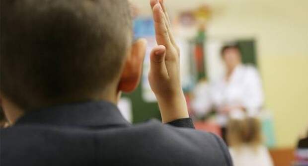 Папа пятиклассника из Раменского обвинил учителя математики в занижении оценок