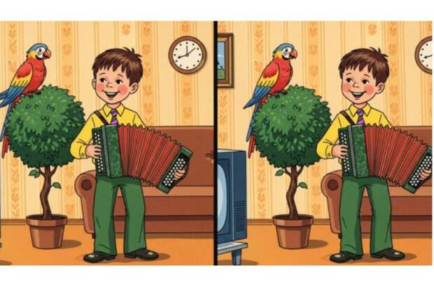 Проверка внимания: найдите 4 отличия на картинке с мальчиком и попугаем