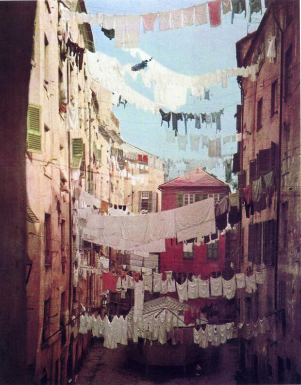 fotografii National Geographic 17