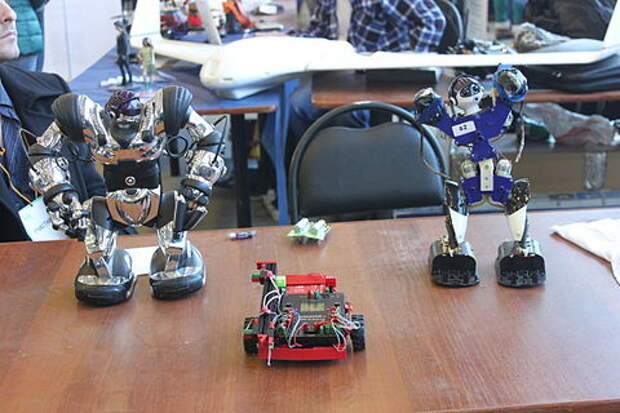 Geek Picnic (Moscow; 2014-01-26) DonSimon 29.JPG