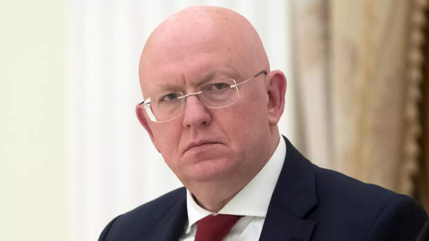 Западные страны занимаются «откровенным грабежом» в море – Небензя