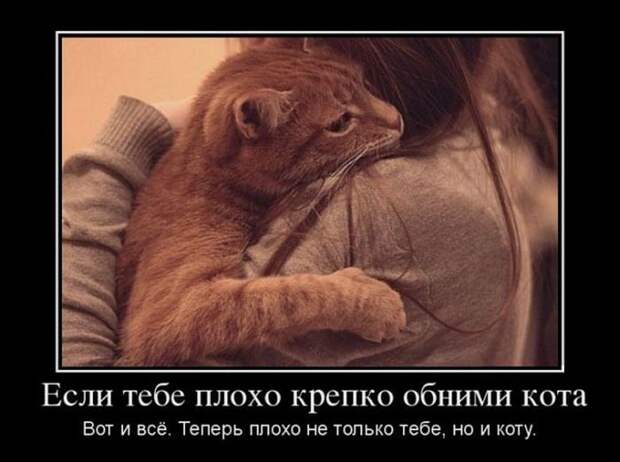 Демотиваторы (30 фото) Демотиваторы (30 фото)