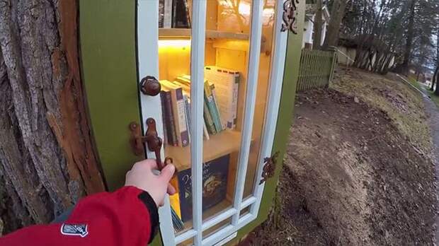 https://img.lifter.world/data/2019/jan/164/dead-tree-little-free-library-sharalee-armitage-howard-25.jpg