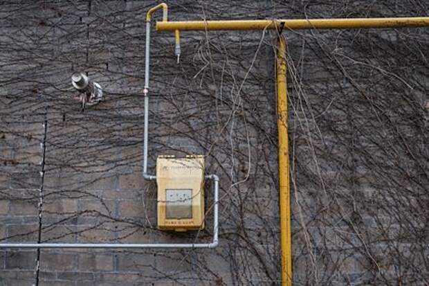 Словакия может увеличить долю российского газа в закупках в 2026 году