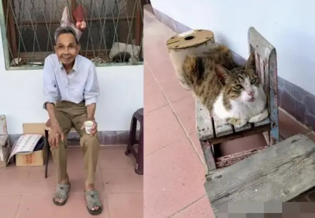 97-летний дедушка тайно ушел из дома, но его кошка не оставила хозяина