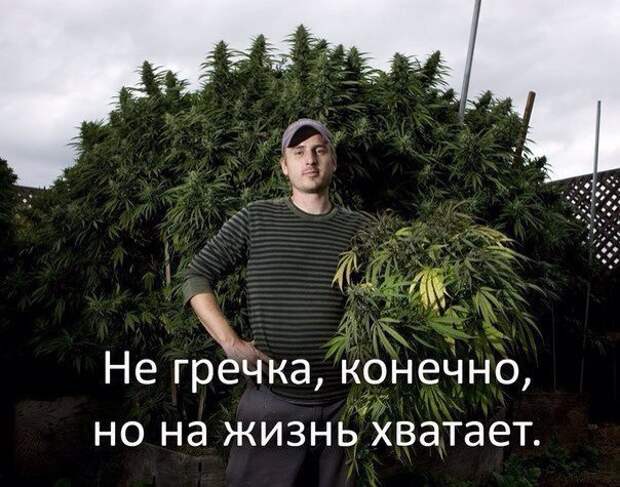 Веселые и смешные картинки с надписями со смыслом (12 фото)