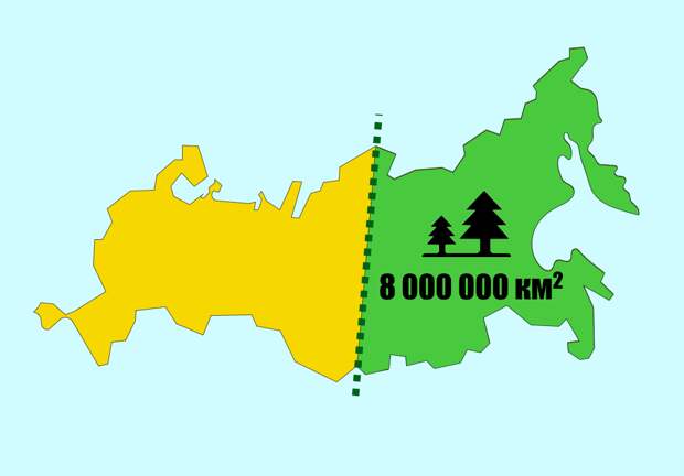 Примерное соотношение площади лесов к общей площади России