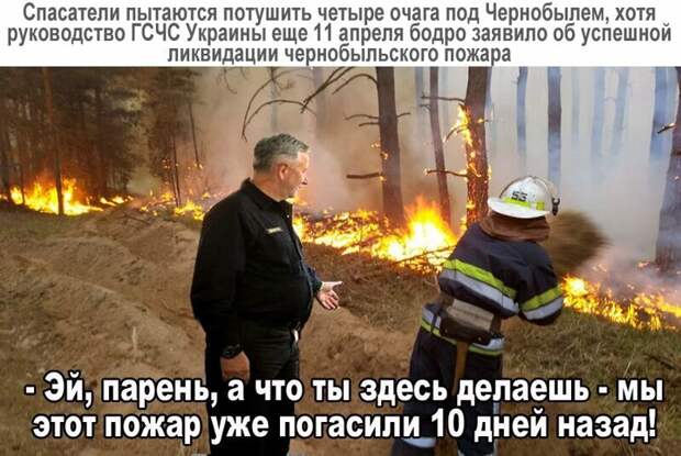 Политические комментарии из инета