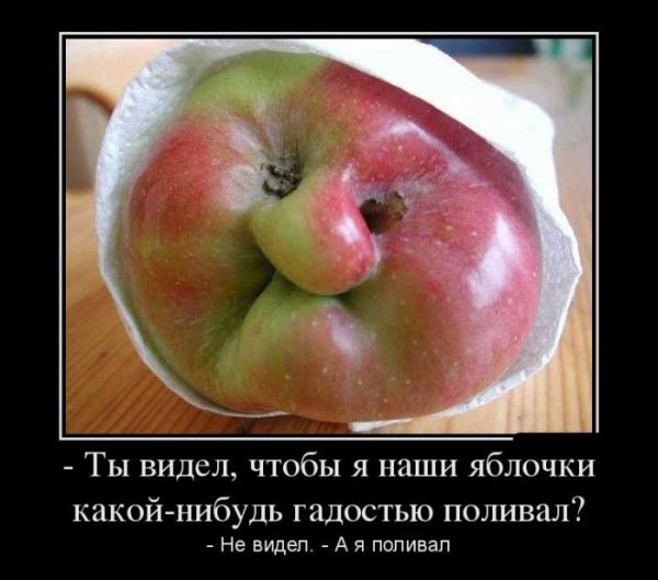 Обо всём.