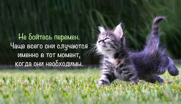 lifechange