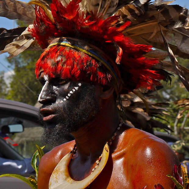 7104 Папуасы из Новой Гвинеи