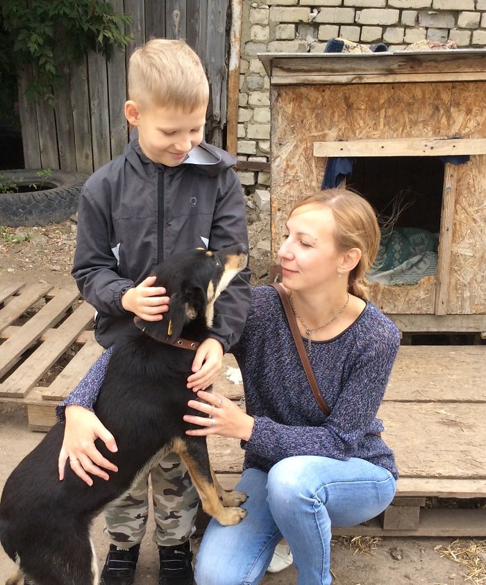 9-летний русский художник ″продает″ свои лучшие картины приютам. Вот почему