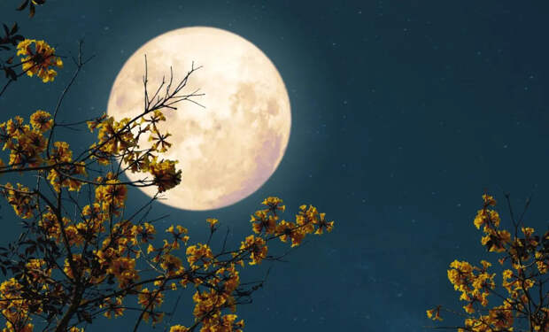Два полнолуния в мае 2026 года: почему второе называют «голубой Луной»