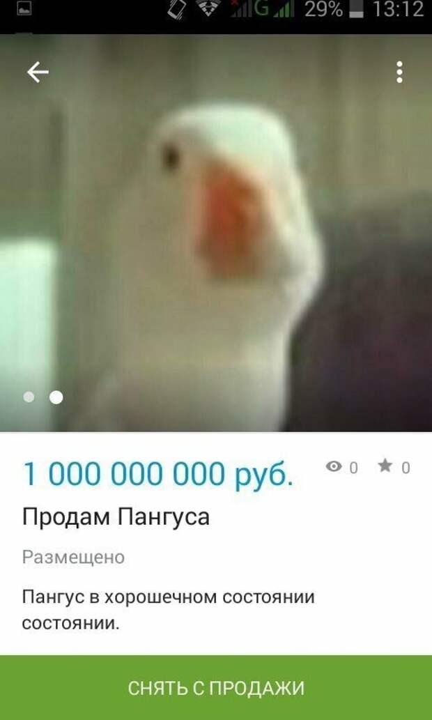 Серьезные объявления от самых деловых людей страны Серьезные объявления от самых деловых людей страны