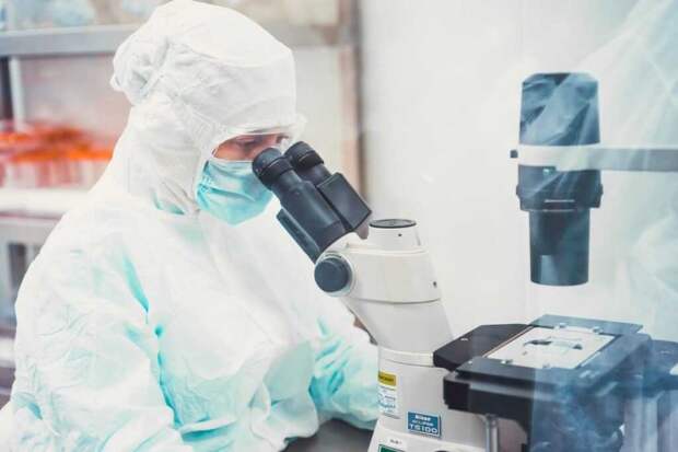 Гинцбург описал симптомы и опасность вируса Нипах