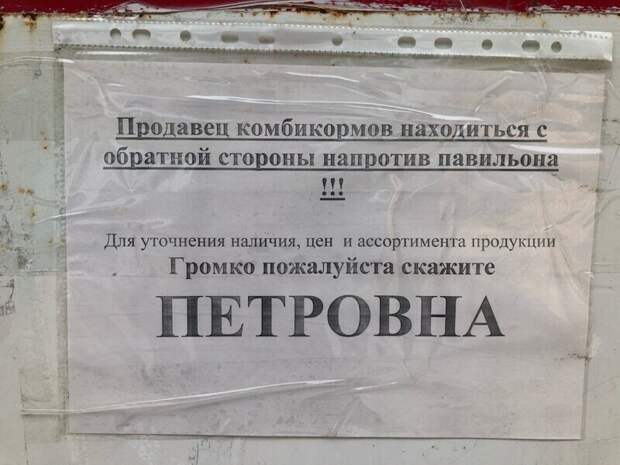 Пароль: "Петровна!" Пароль: "Петровна!"