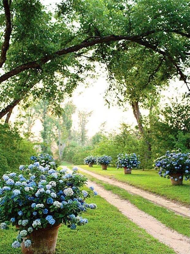 «Сажать сад - значит верить в завтрашний день» (Одри Хепберн)