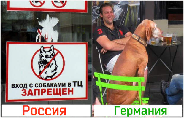 Мытье мусора, отсутствие мочалок и еще 11 странных привычек немцев