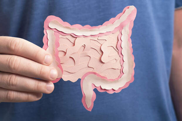 Профессор Медведев: высокий уровень выделения метана в кишечнике провоцирует рак