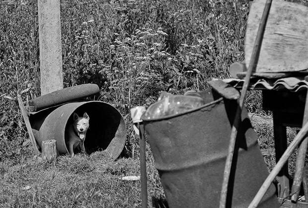 Заброшенная Россия