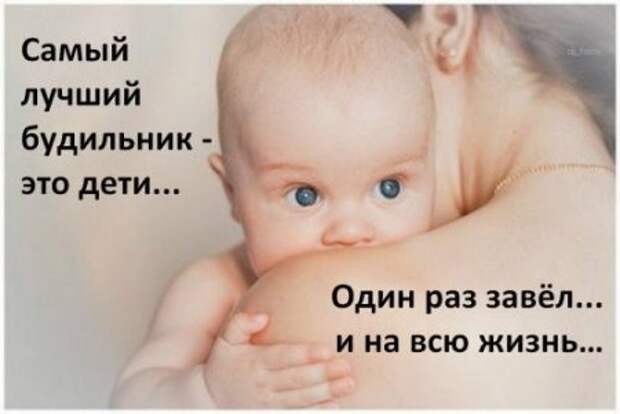 Афоризмы и прикольные анекдоты в картинках.