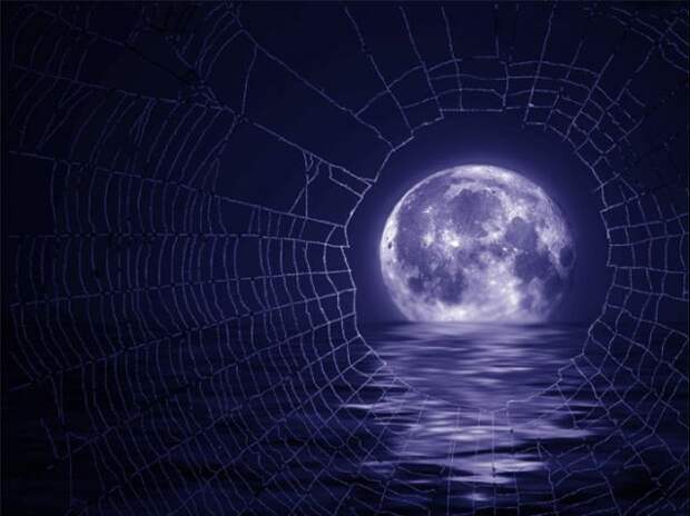 4360286_822235 (640x479, 44Kb)