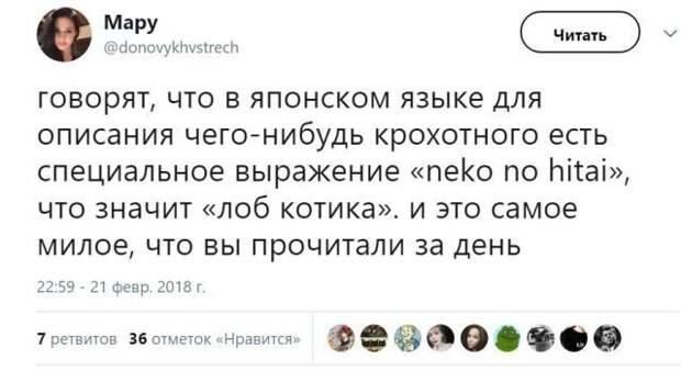 Новая партия искрометных приколов для надрыва животов Новая партия искрометных приколов для надрыва животов