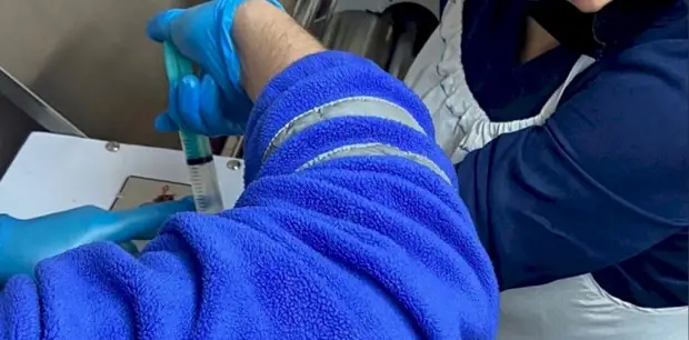 В новосибирском храме женщину затянуло в тестораскаточную машину