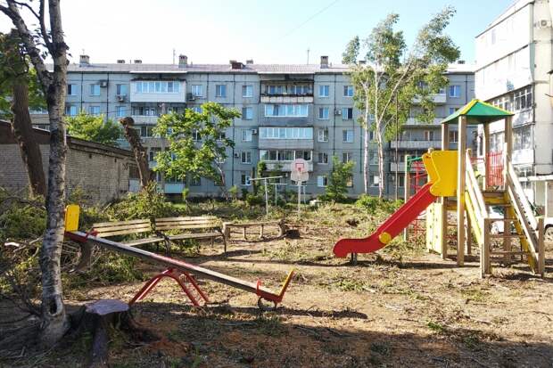 Деревья или детская площадка: сложный выбор пришлось делать жителям Уссурийска