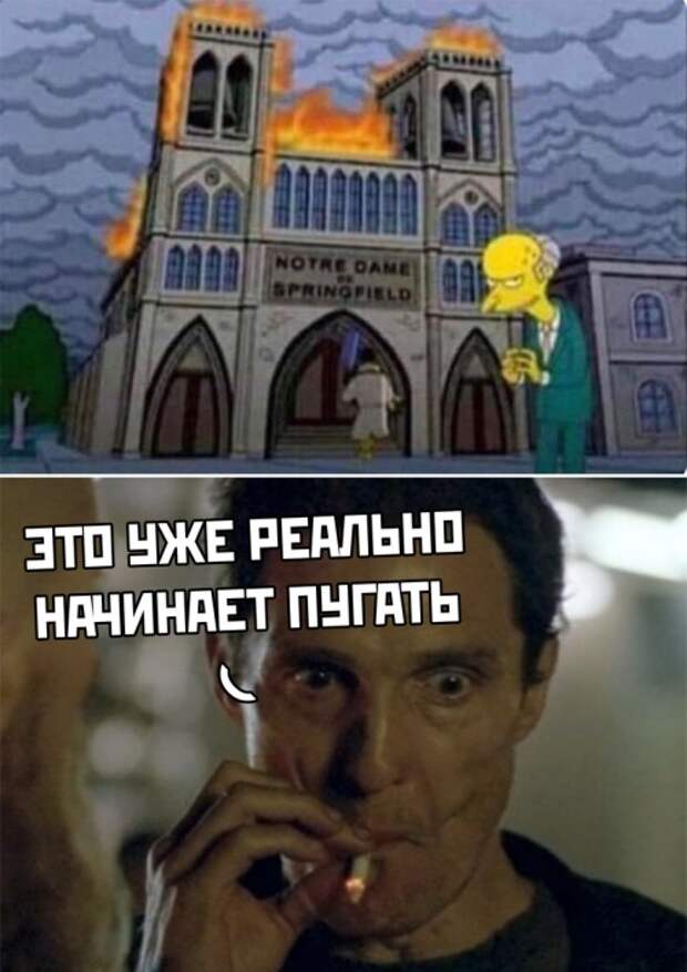 Подборка картинок. Вечерний выпуск (24 фото)