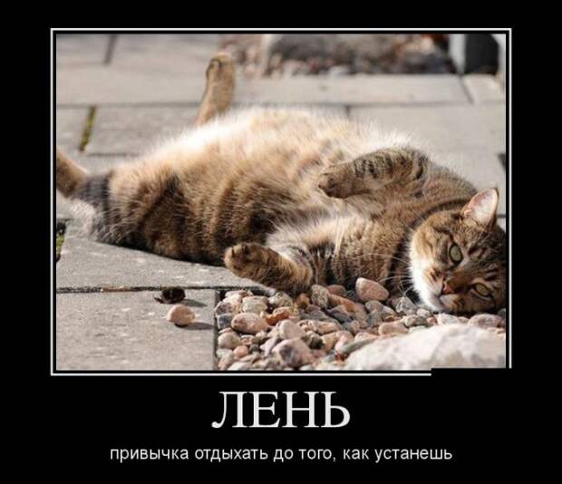 Демотиваторы (30 фото)