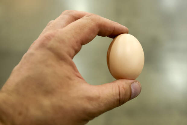 Кардиологи раскрыли, сколько яиц можно съедать в неделю без вреда здоровью