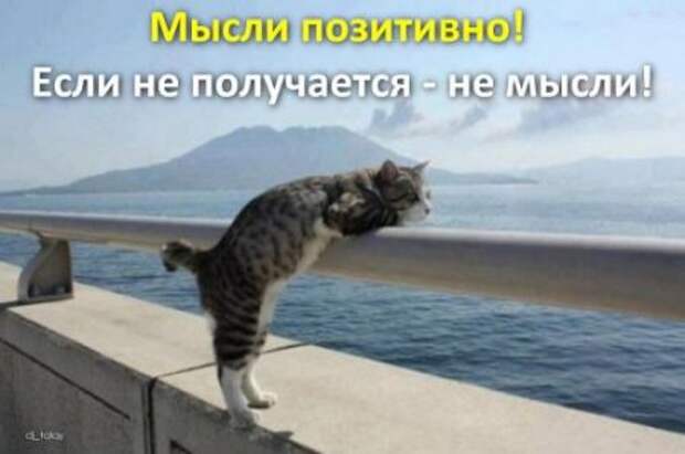 Афоризмы и прикольные анекдоты в картинках.