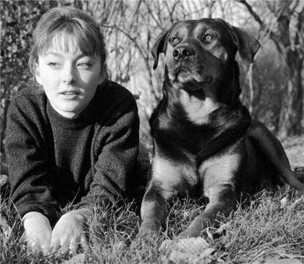 Советская киноактриса Анастасия Вертинская (слева) с собакой Джимом (справа). 1964 год.  актрисы, кино, фото