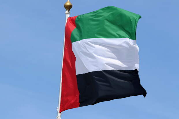 ОАЭ объявили о выходе из еще одной организации