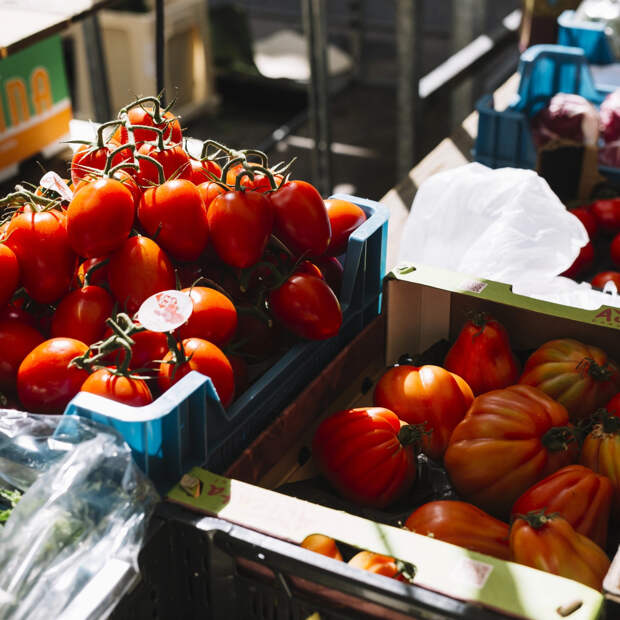 Из Новосибирска обратно в Узбекистан отправили более 18 тонн заражённых помидоров