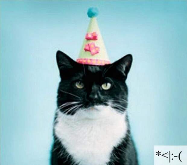 Котоэмоции