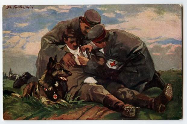 Галерея животных, втянутых людьми в мировую бойню Галерея животных, втянутых людьми в мировую бойню факты, мировая война, животные