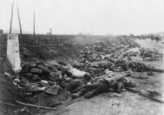 Казаки и Первая мировая война. Часть IV. 1916 год